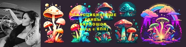 мяу мяу мука Баксан
