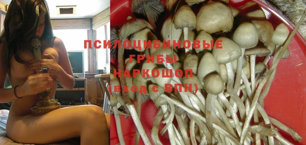 мяу мяу мука Баксан