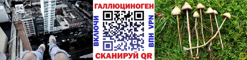 omg ONION  Калуга  Галлюциногенные грибы прущие грибы 